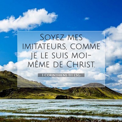 1 Corinthiens 11:1 LSG Image du verset biblique