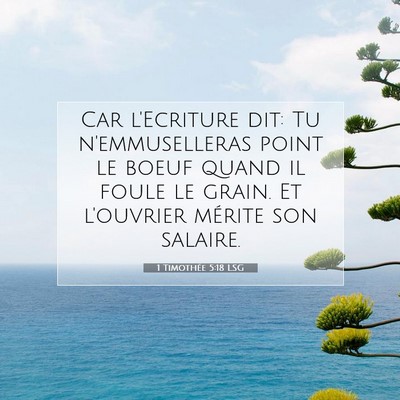 1 Timothée 5:18 Verset biblique expliqué